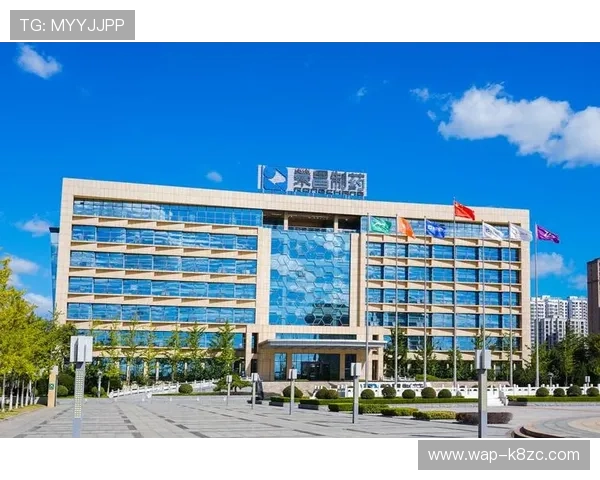 凯发娱发k8：详细介绍平台的技术支持与客户服务体系